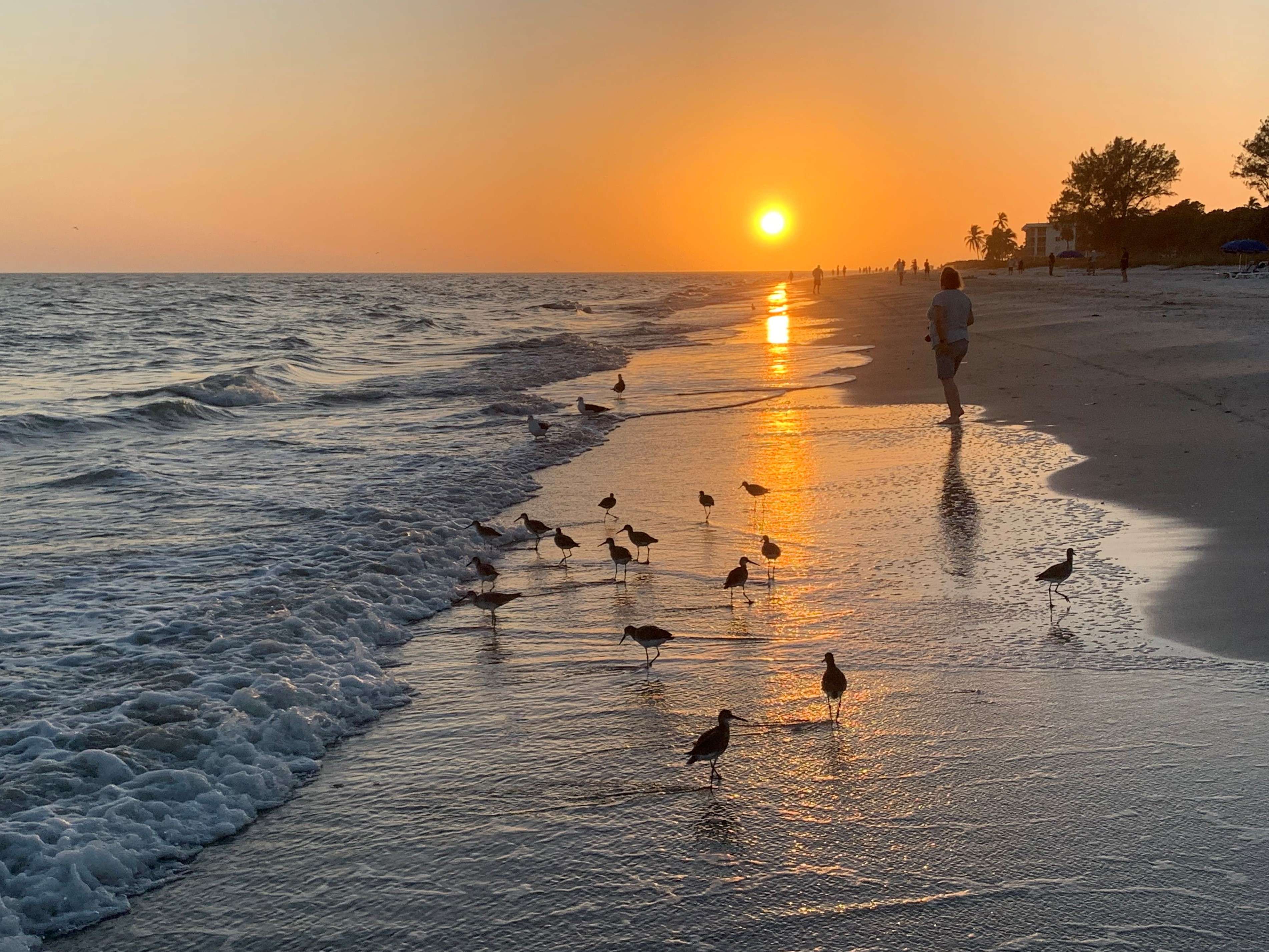 Sanibel Island sunset